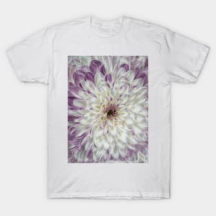 closeup macro photography of white and purple coloured dahlia bloom T-Shirt